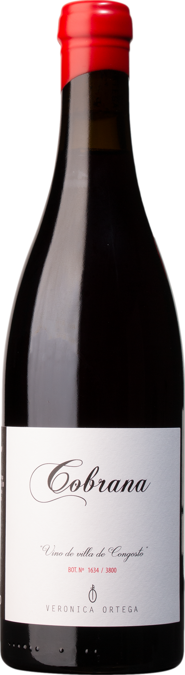 Veronica Ortega Cobrana 2022