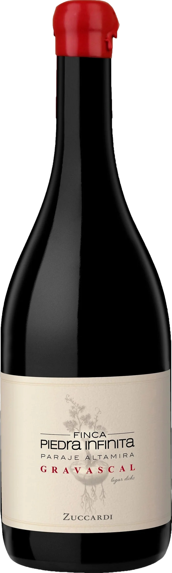 Zuccardi Finca Piedra Infinita Gravascal 2020