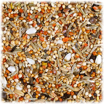 JR Farm Birds Premium Premium Sperlings-/ Langflügelpapagei 1kg