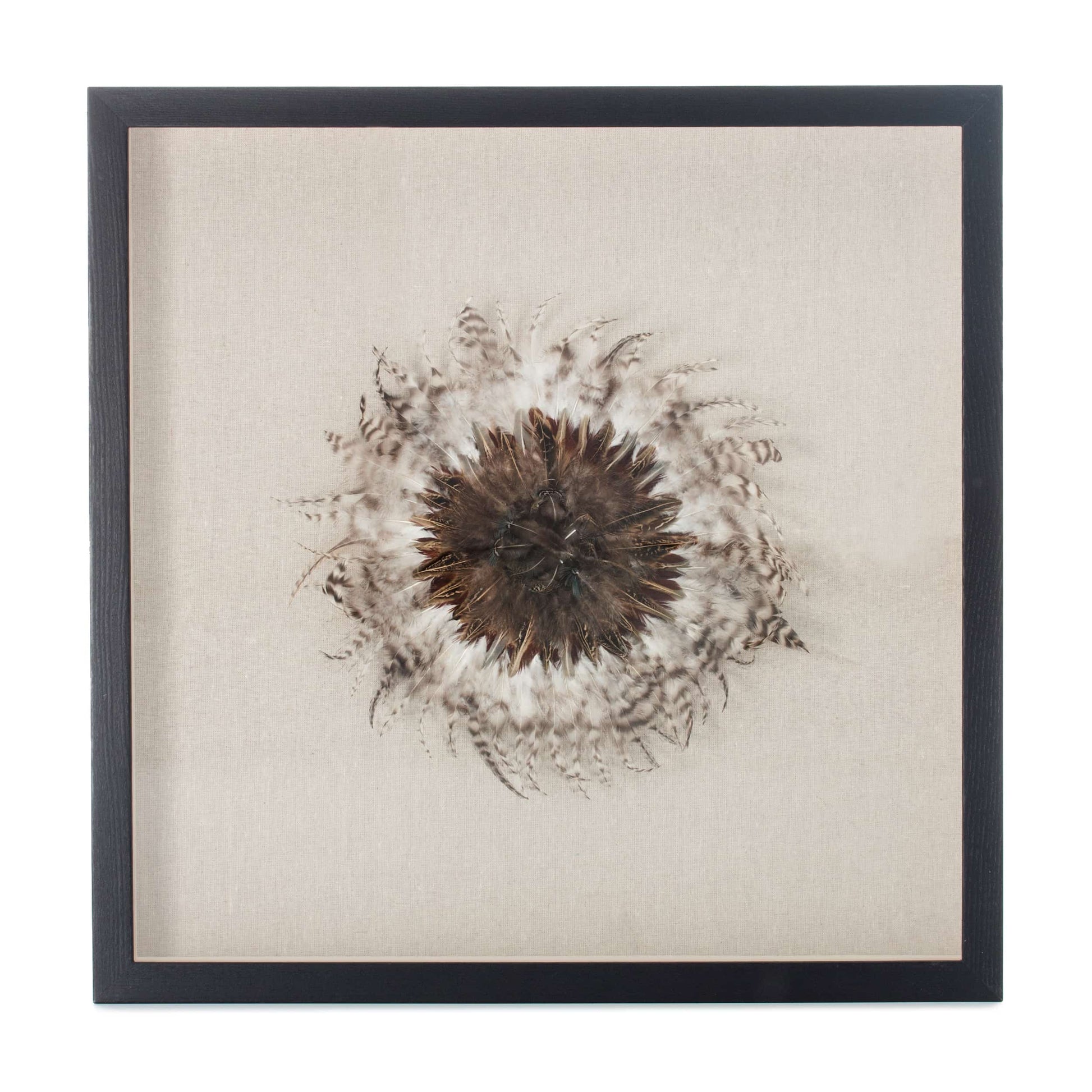 Feder-Wandbild Federschmuck II 60cm x 60cm