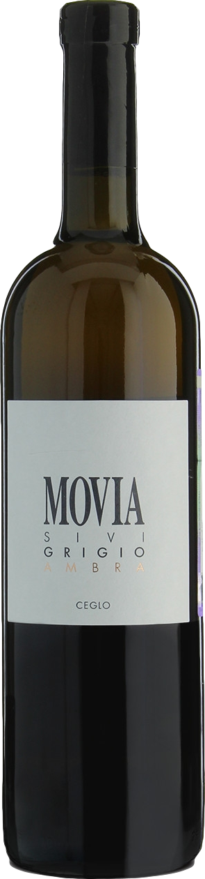 Movia Sivi Grigio Ambra 2022