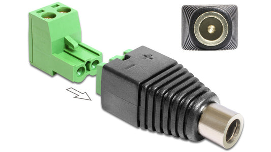 Delock Adapter Terminalblock > DC 2,1 x 5,5 mm Buchse 2-teilig