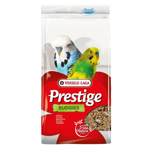 Prestige Wellensittiche