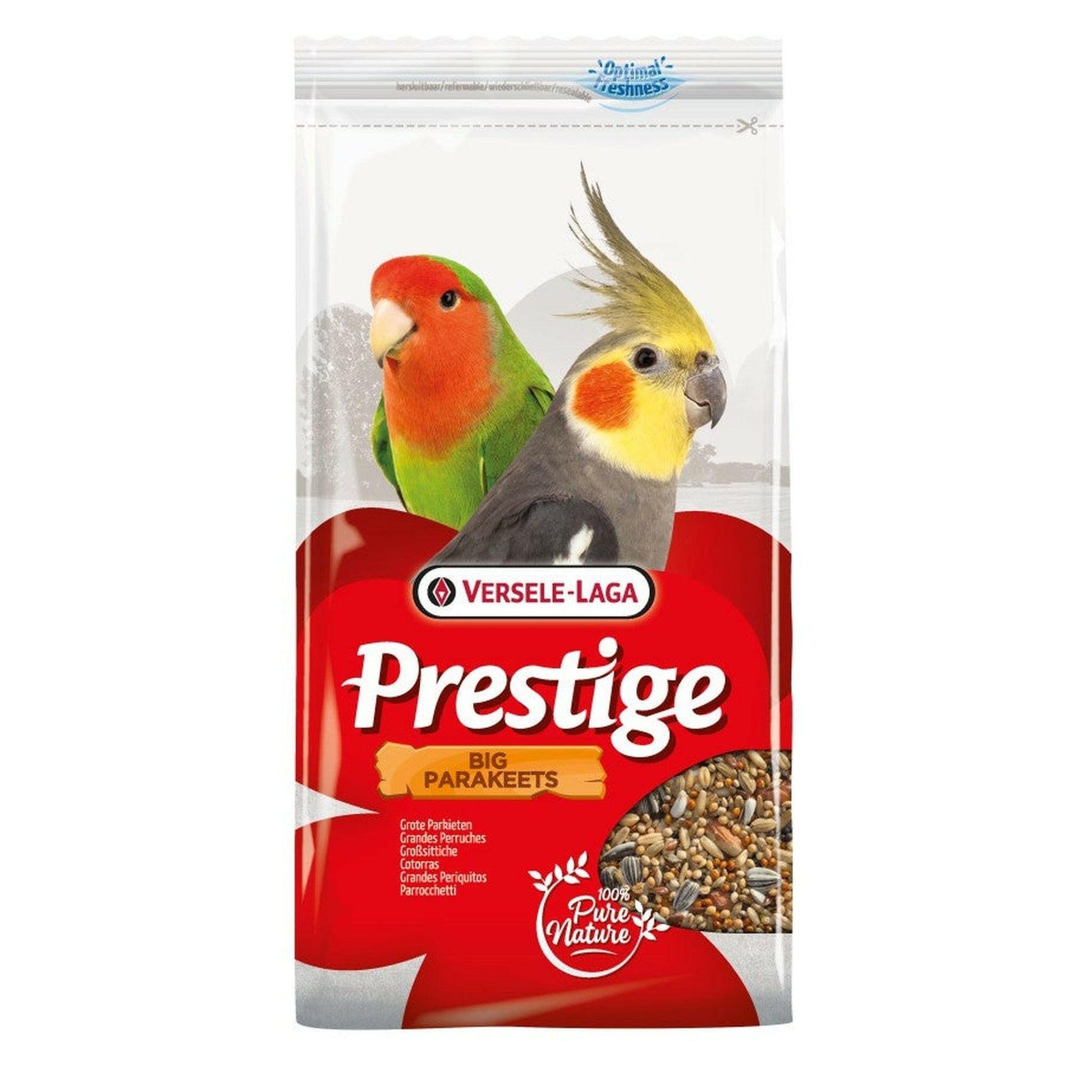 Prestige Großsittiche