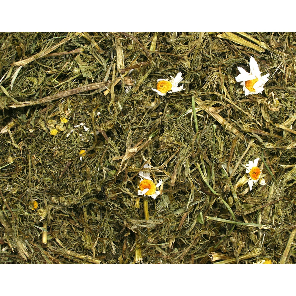 JR Kamillenpflanze 100g