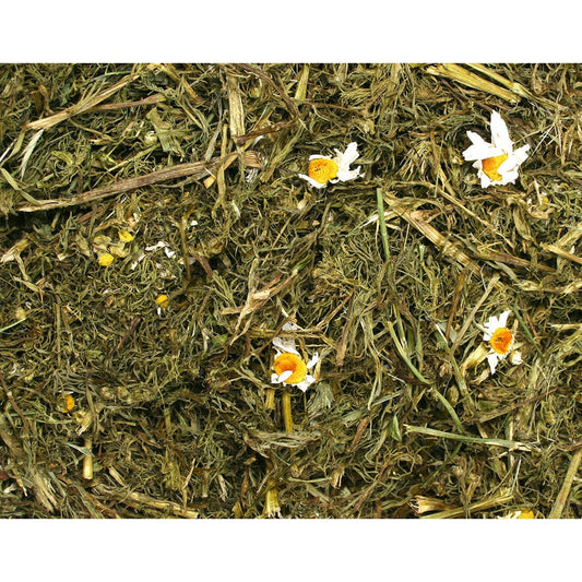 JR Kamillenpflanze 100g