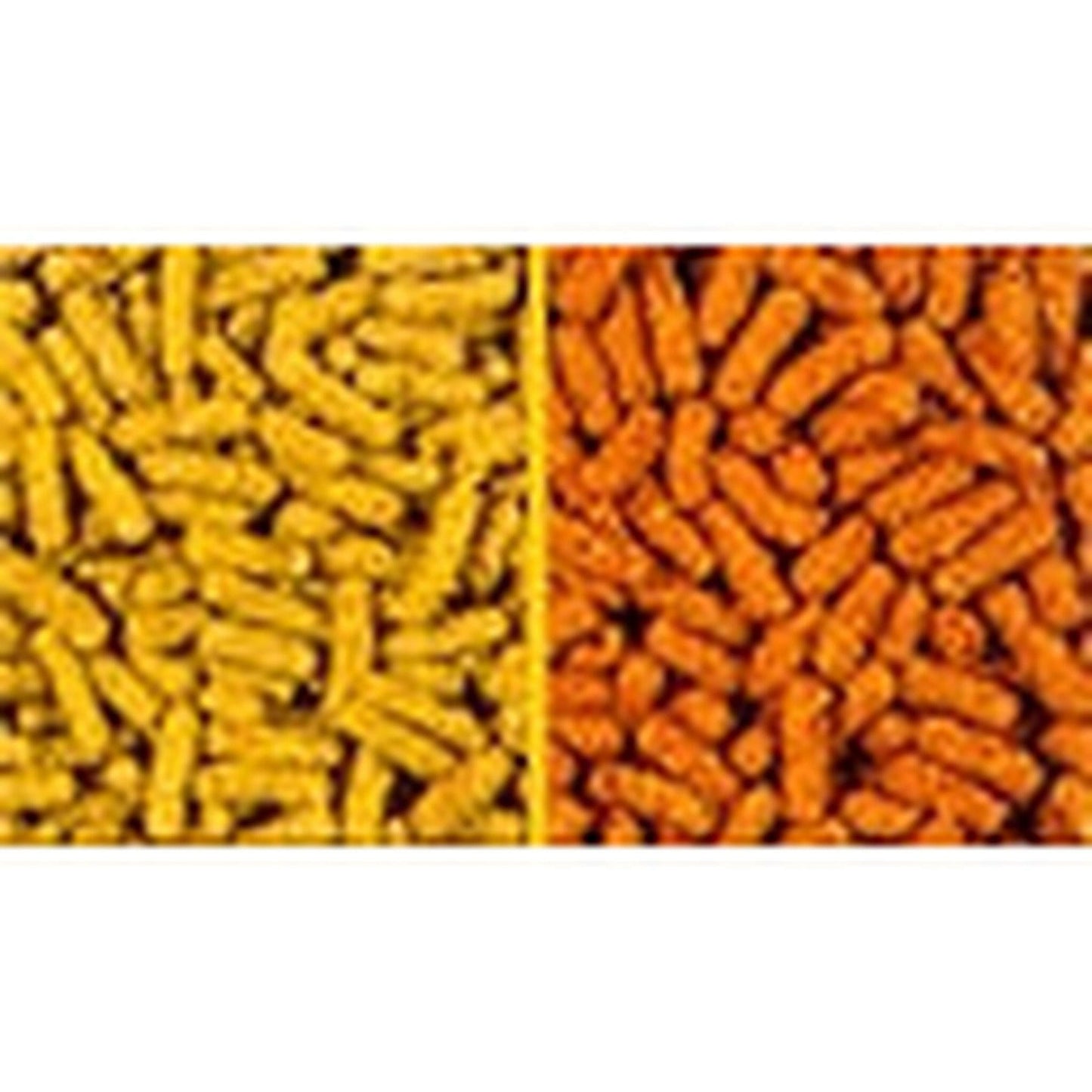 Interquell Teichsticks 5kg