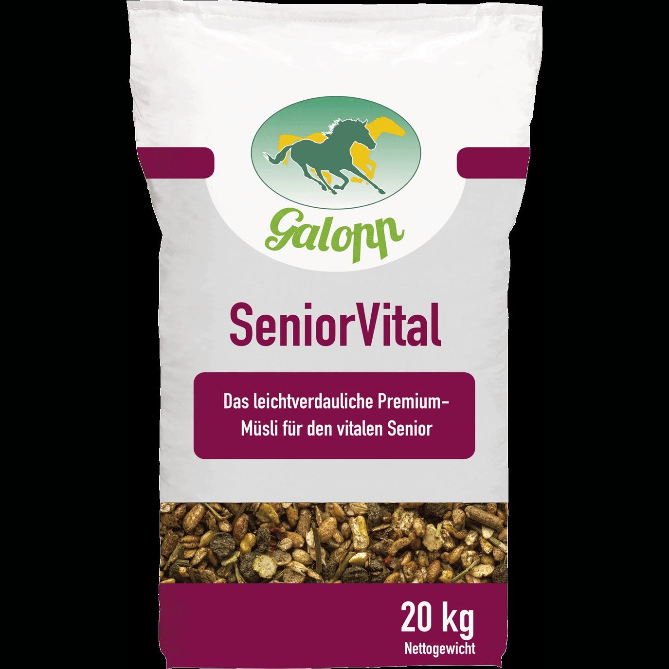 Galopp SeniorVital