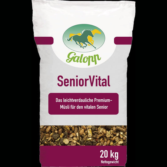 Galopp SeniorVital