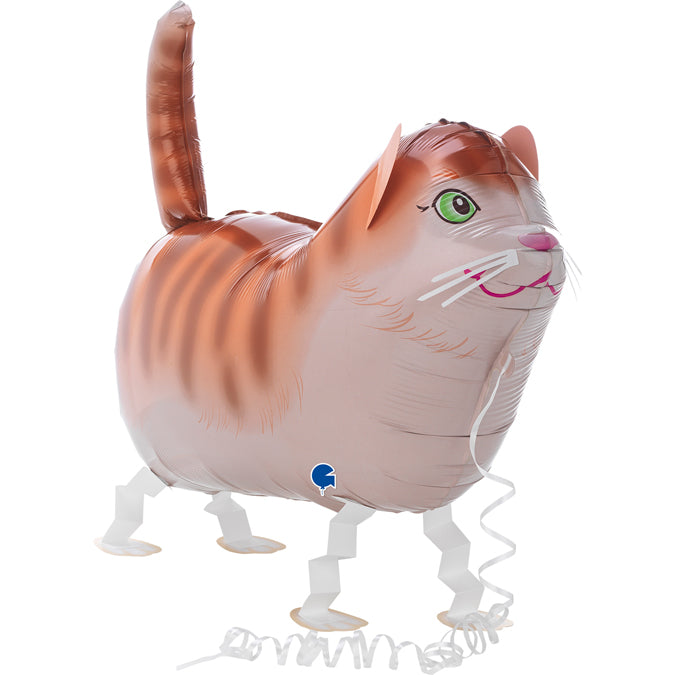 Katze Tommy Walker
