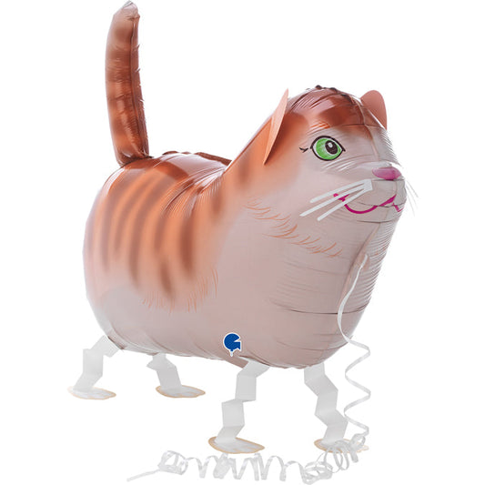 Katze Tommy Walker