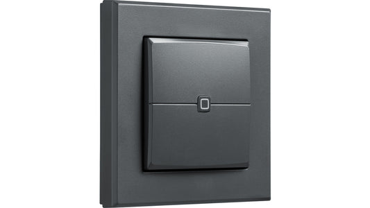 Homematic IP Smart Home Wandtaster – 2-fach, anthrazit, HmIP-WRC2-A