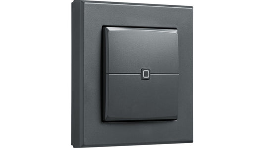 Homematic IP Wired Smart Home Wandtaster – 2-fach, anthrazit, HmIPW-WRC2-A