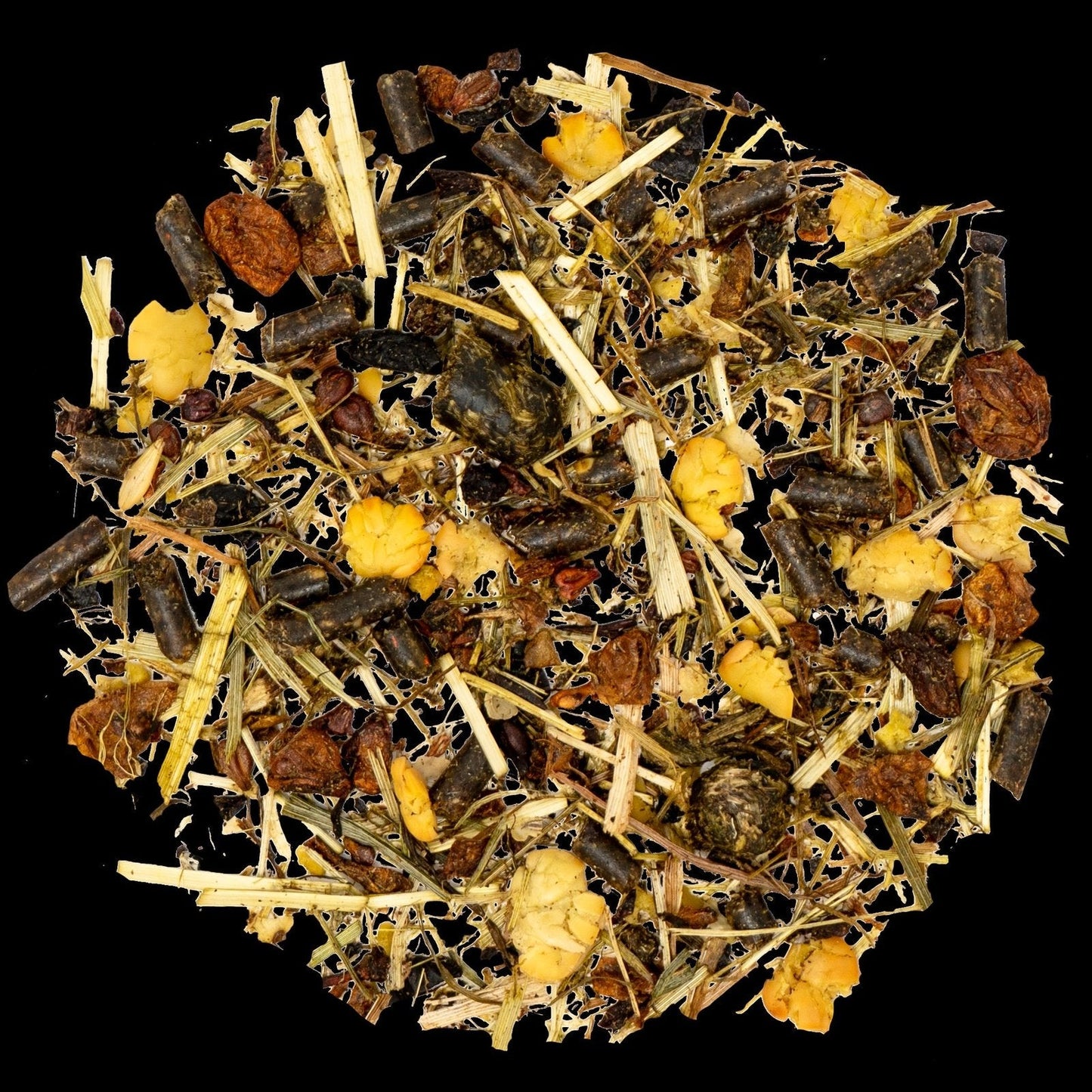 Marstall Zucht Aktiv