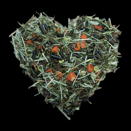 Salvana Magen-Strukturmüsli