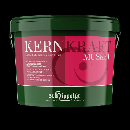 St. Hippolyt Kernkraft Muskel