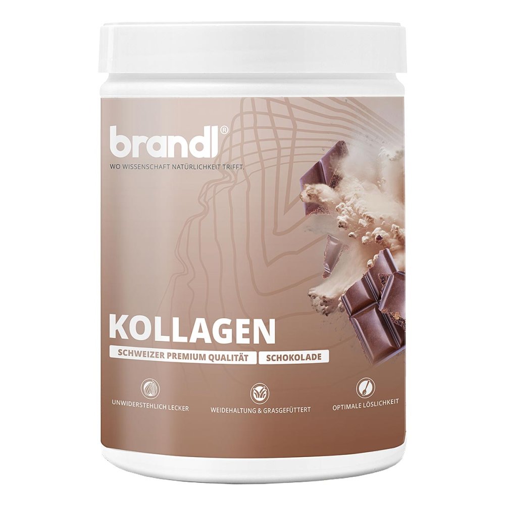 Kollagen Pulver Schokolade