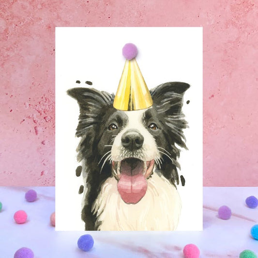 Karte Border Collie, Partyhut m. Pom Pom