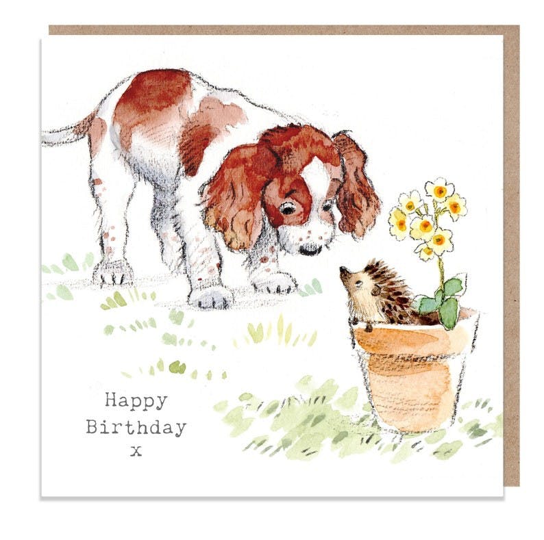 Karte Springer Spaniel mit Igel