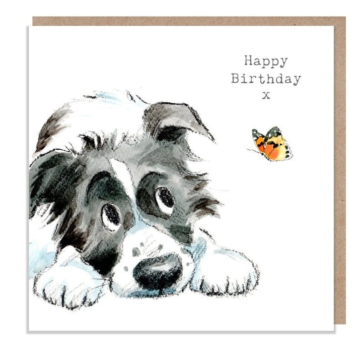 Karte Collie mit Schmetterling