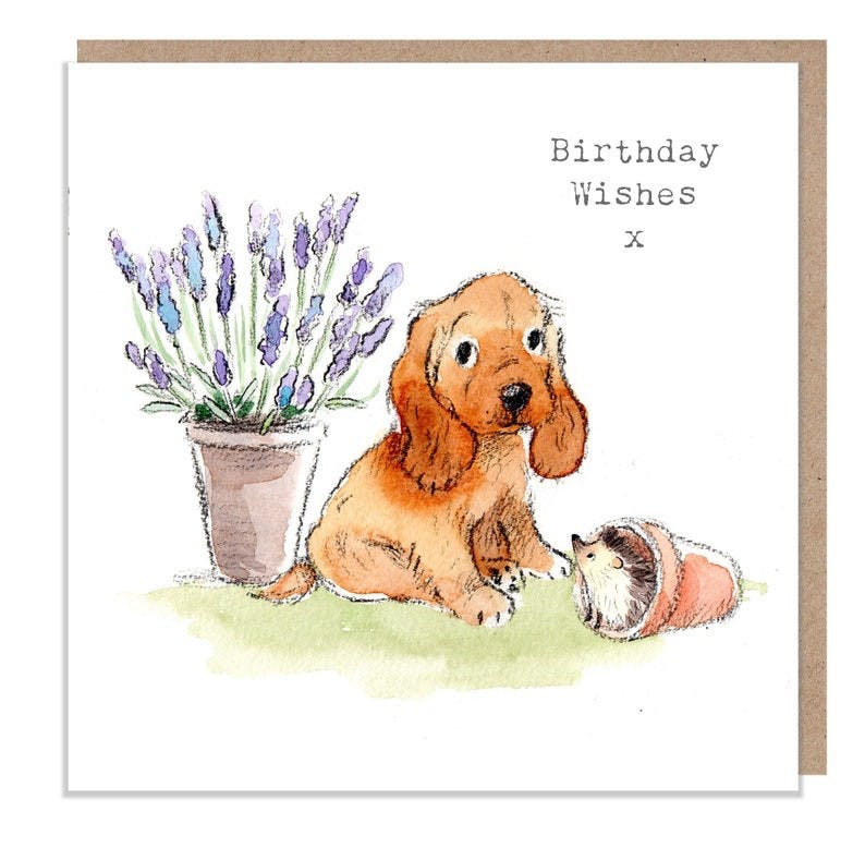 Karte Cocker Spaniel mit Igel