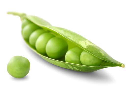 Erbsen