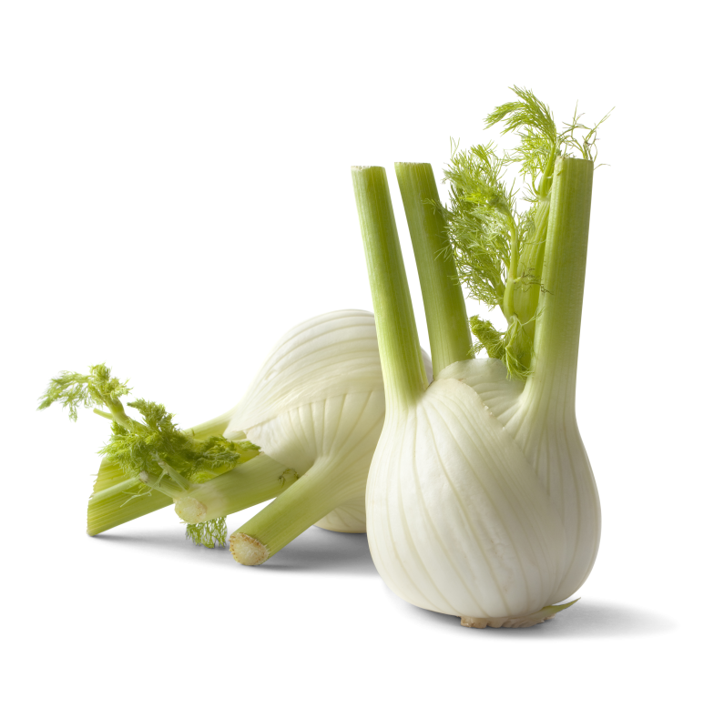 Fenchel