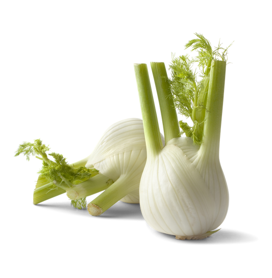 Fenchel