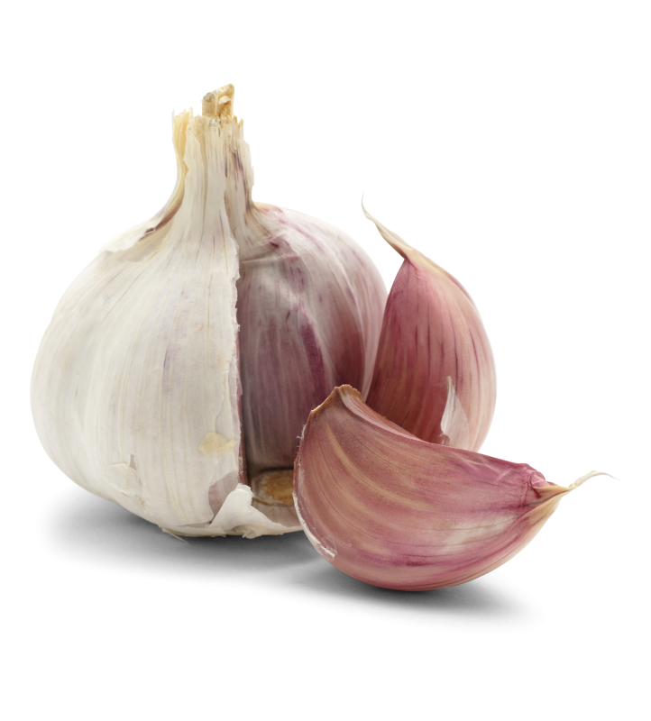 Knoblauch frisch