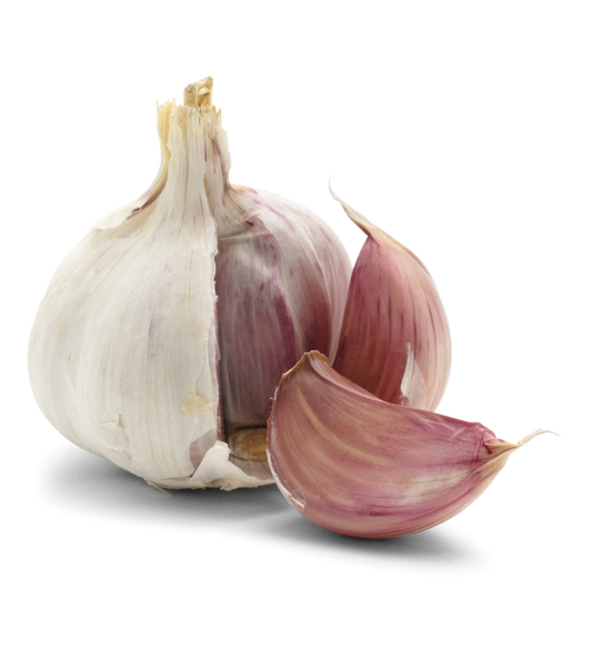 Knoblauch frisch