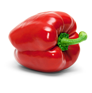 Paprika rot
