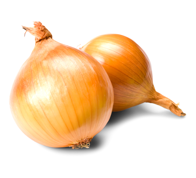 Zwiebeln Haushalt
