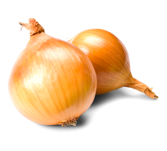 Zwiebeln Haushalt