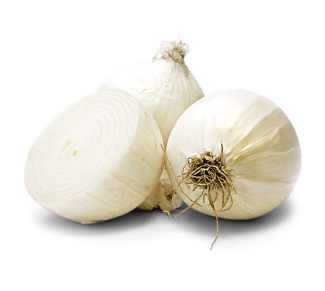 Zwiebeln weiss
