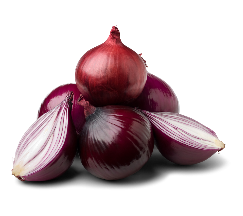 Zwiebeln rot