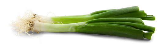 Lauchzwiebel