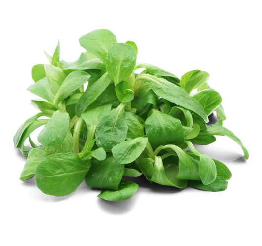 Feldsalat
