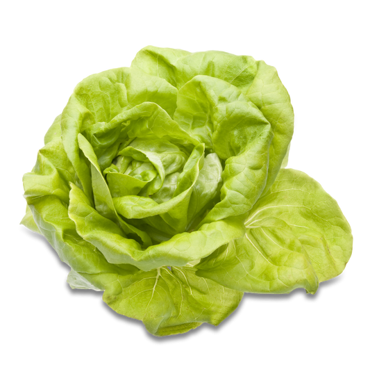 Kopfsalat