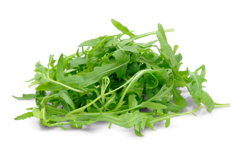 Rucola Salat