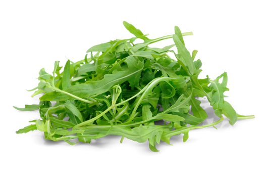 Rucola Salat