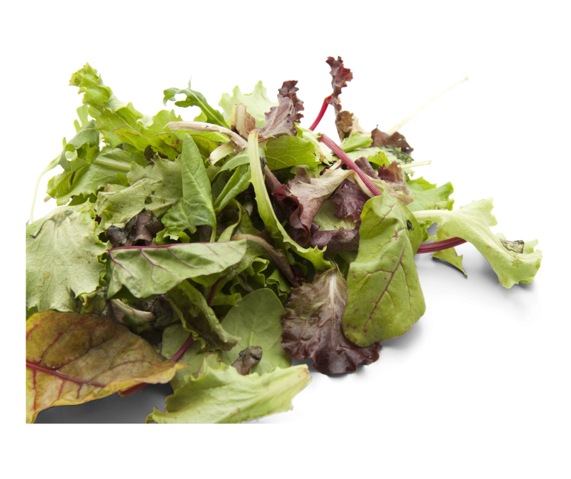 Mischsalat Dallmayr