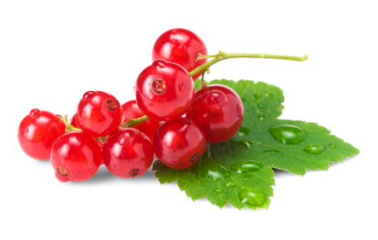 Johannisbeeren rot
