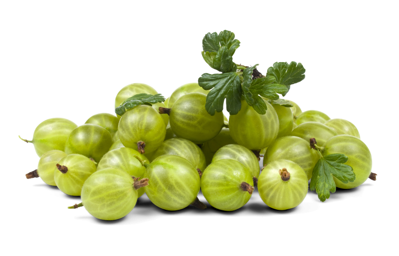 Stachelbeeren