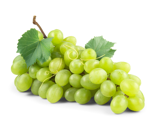 Trauben kernlos weiß