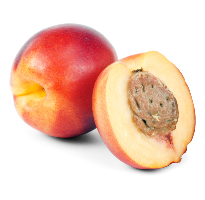 Nektarinen weiß