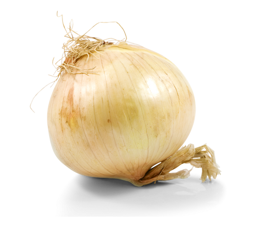 Zwiebel süß