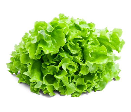 Salat Novita