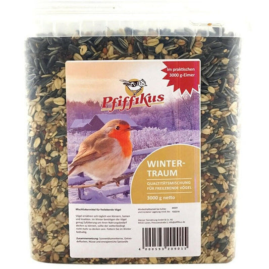 Pfiffikus Wintertraum