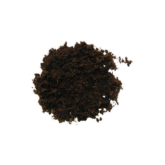 Dohse HOBBY Terrano Forest