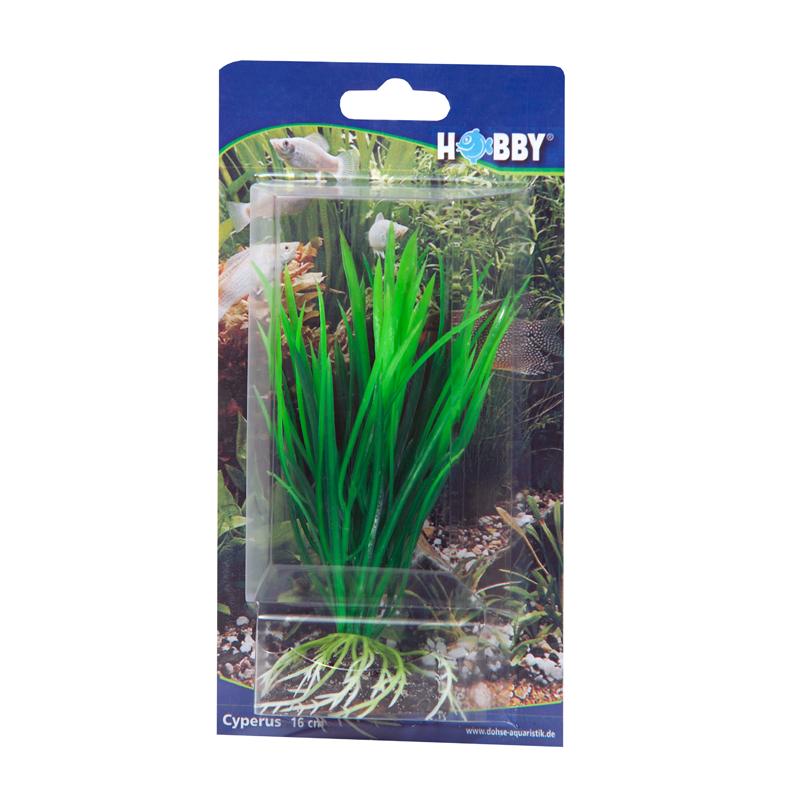 Dohse HOBBY Cyperus